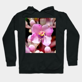 Lone Pink Flower Bloom Hoodie